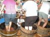 GrapeStomping! at GrapeFest